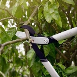 Сучкорезы Fiskars PowergearX